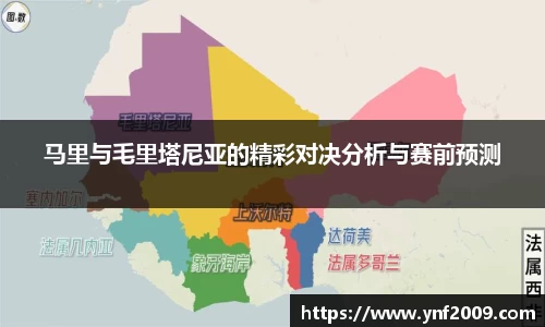 优游国际