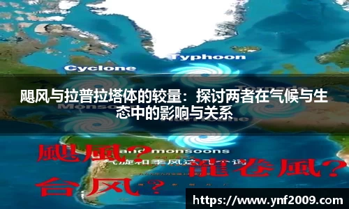 飓风与拉普拉塔体的较量：探讨两者在气候与生态中的影响与关系